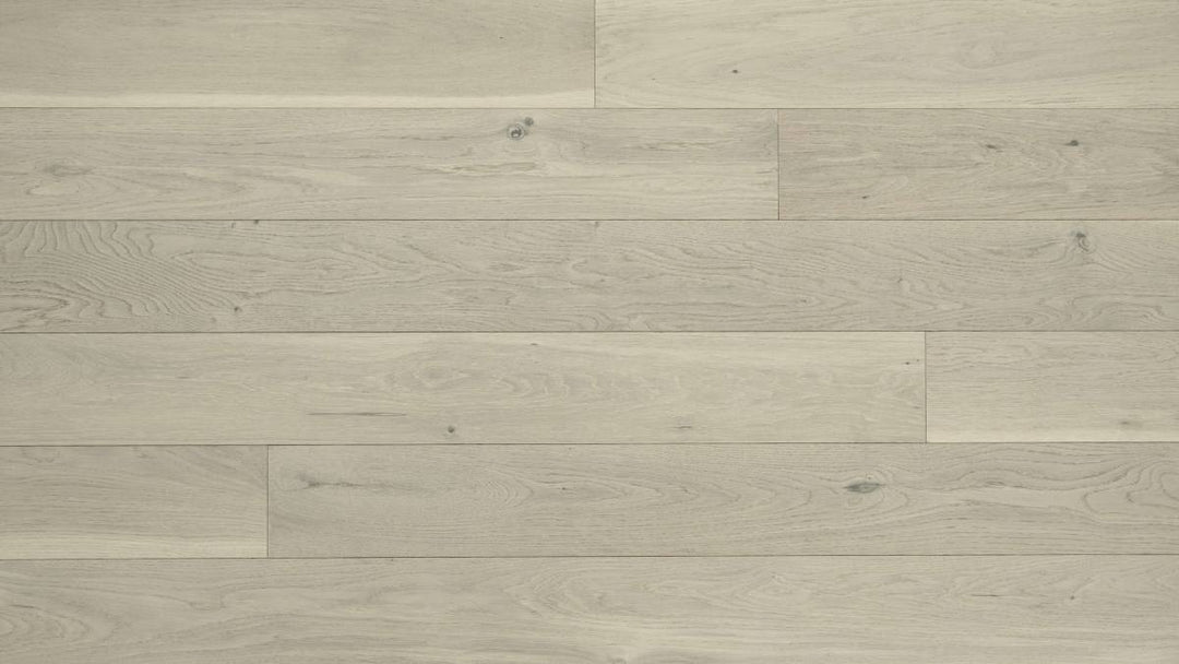 CHÊNE BLANC AMÉRICAIN 6''