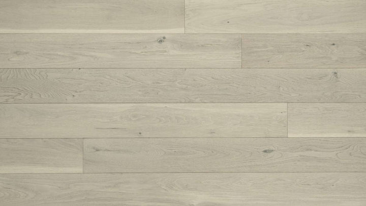 CHÊNE BLANC AMÉRICAIN 6''