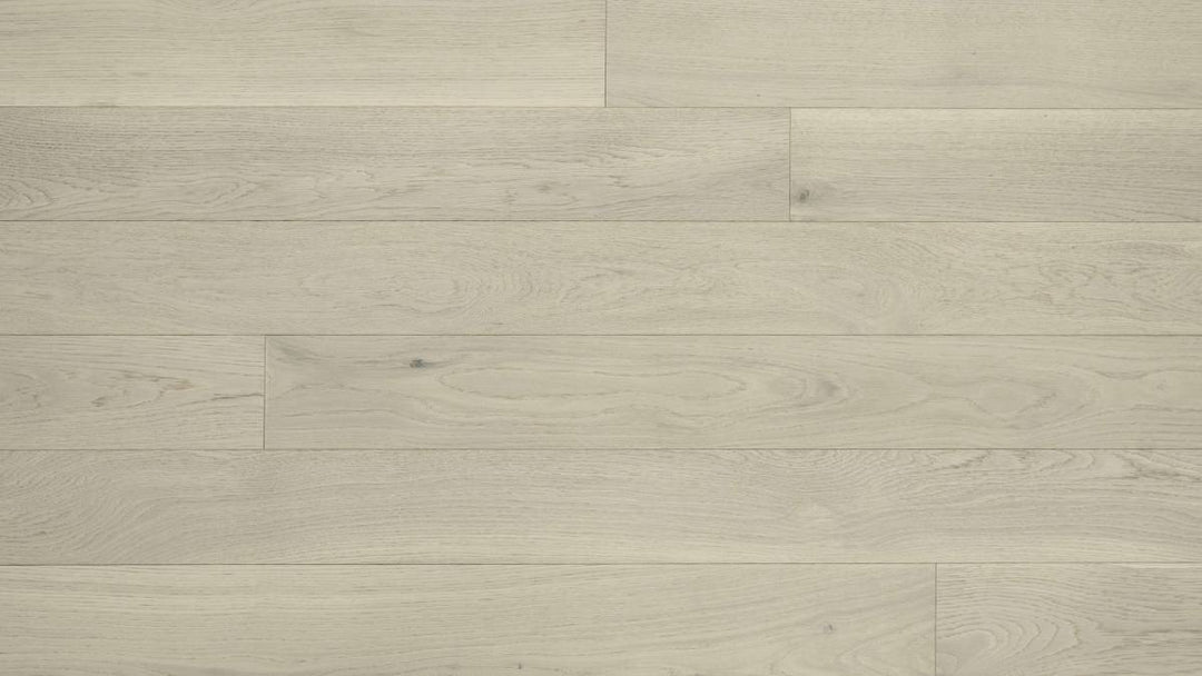 CHÊNE BLANC AMÉRICAIN 6''