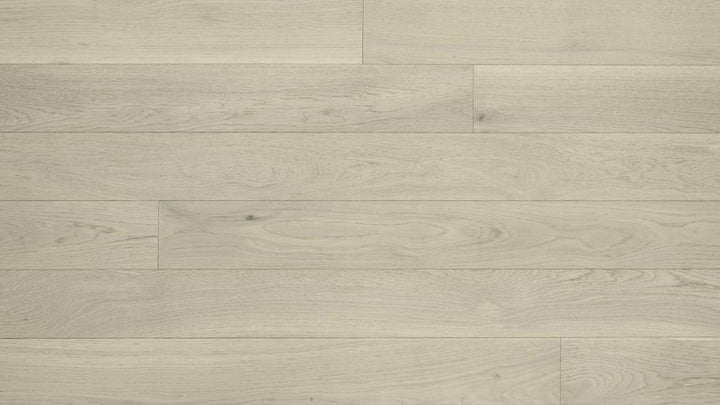 CHÊNE BLANC AMÉRICAIN 6''