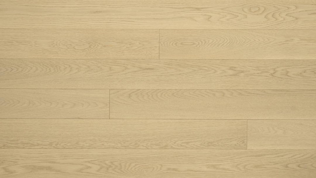 CHÊNE BLANC AMÉRICAIN 6''