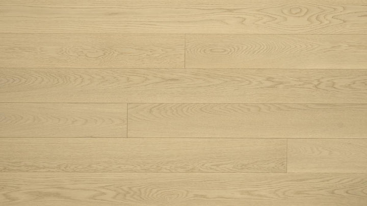 CHÊNE BLANC AMÉRICAIN 6''