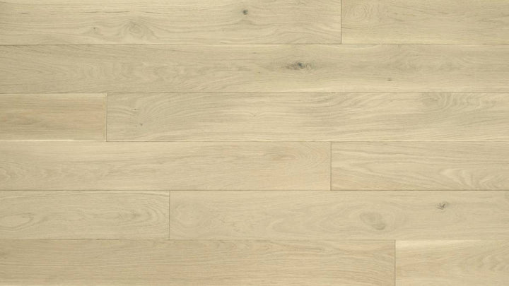 CHÊNE BLANC AMÉRICAIN 6''