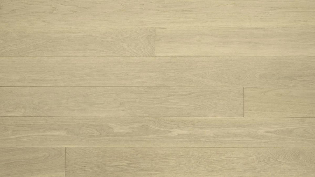 CHÊNE BLANC AMÉRICAIN 6''