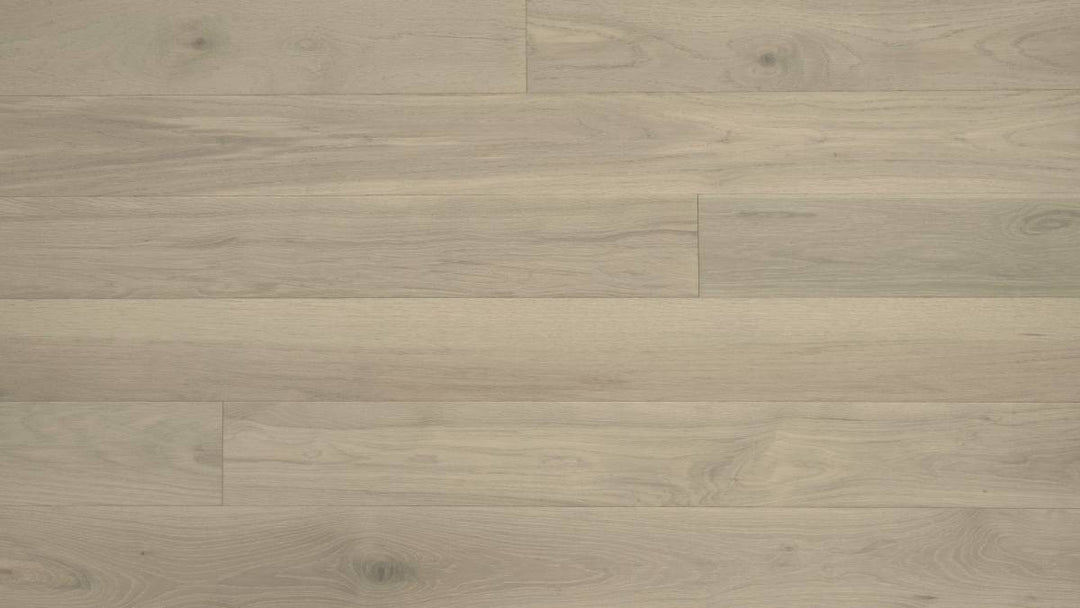 CHÊNE BLANC AMÉRICAIN 6''