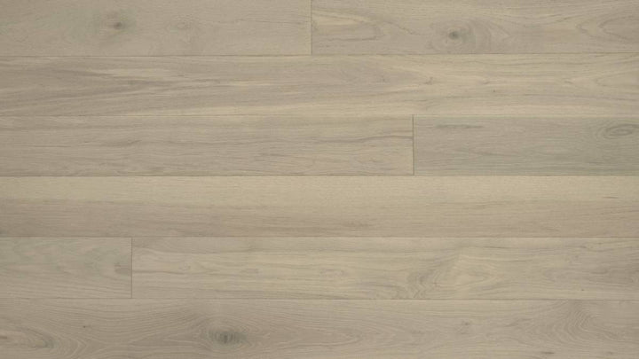 CHÊNE BLANC AMÉRICAIN 6''
