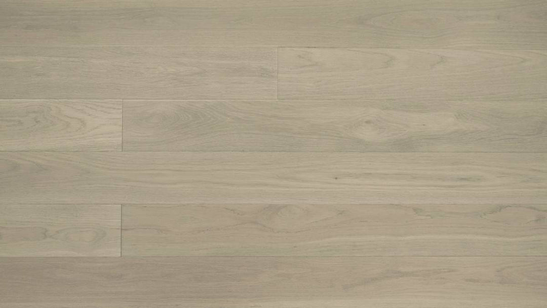 CHÊNE BLANC AMÉRICAIN 6''