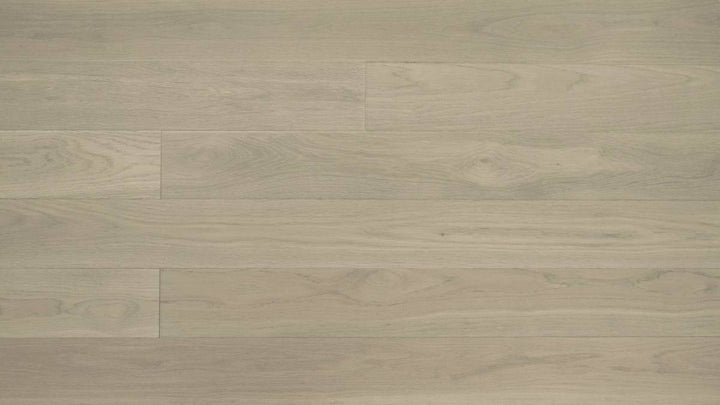 CHÊNE BLANC AMÉRICAIN 6''