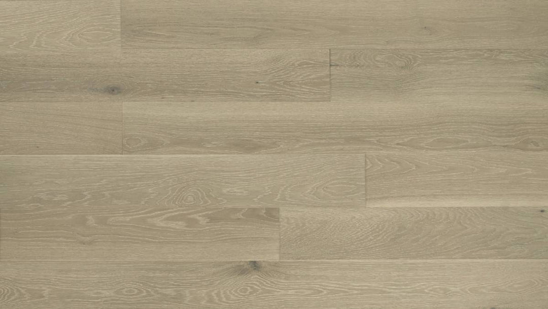 CHÊNE BLANC AMÉRICAIN 6''