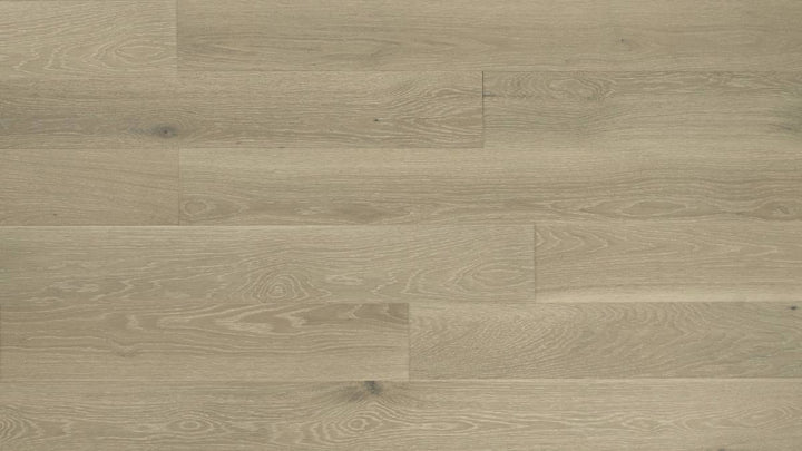 CHÊNE BLANC AMÉRICAIN 6''