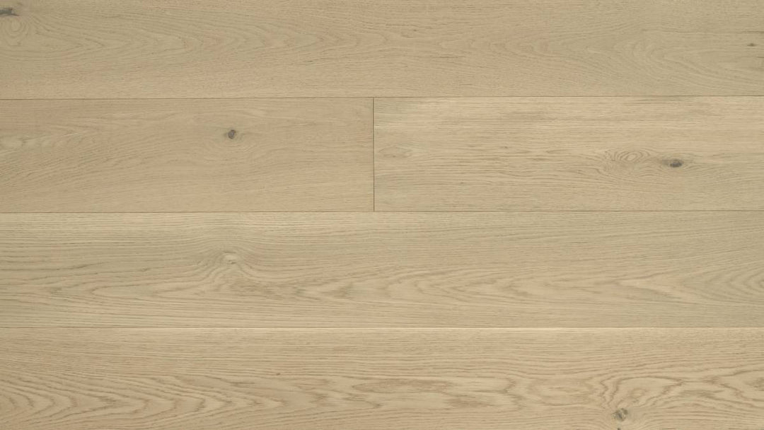 CHÊNE BLANC AMÉRICAIN 9''