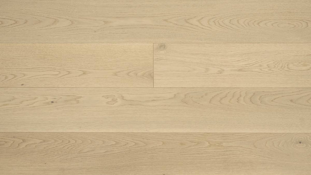 CHÊNE BLANC AMÉRICAIN 9''