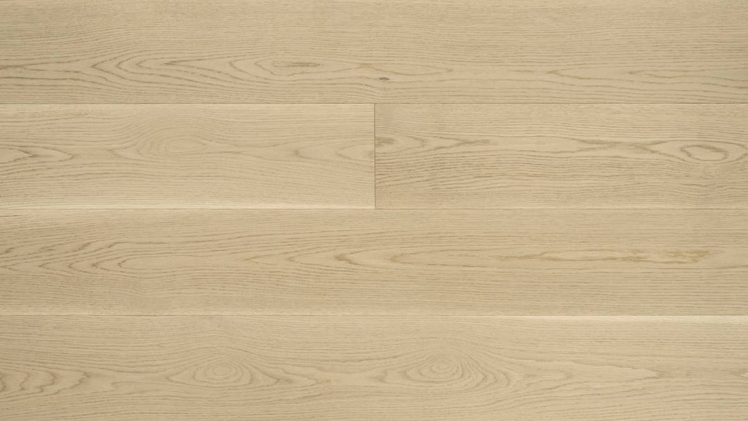 CHÊNE BLANC AMÉRICAIN 9''