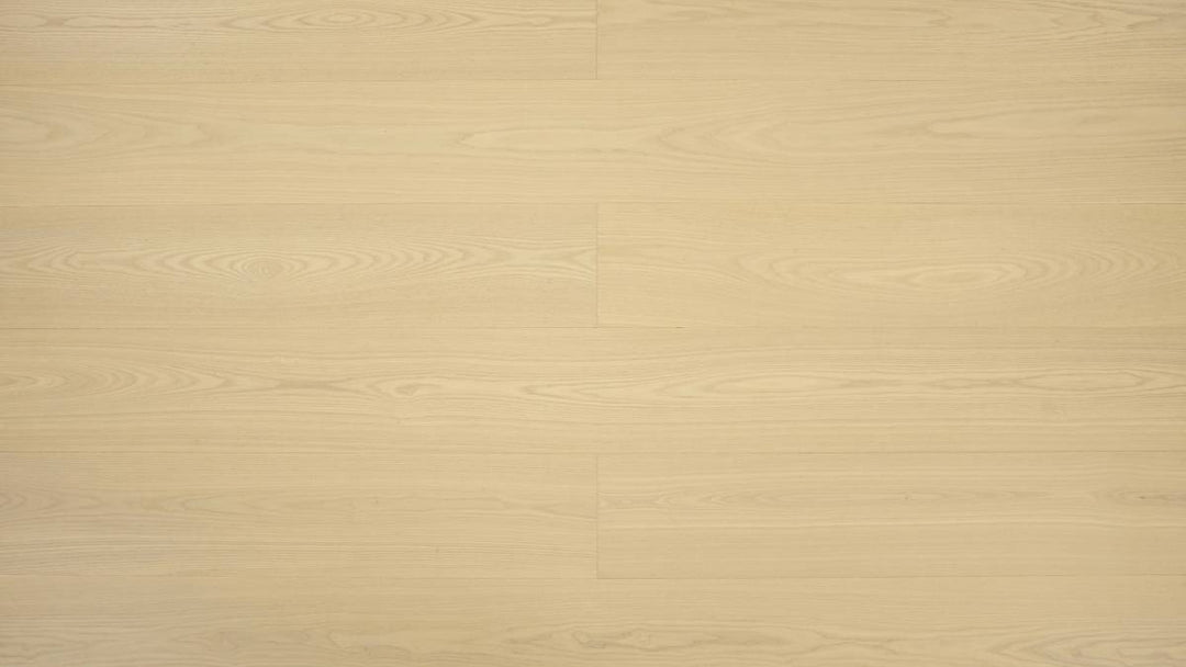FRÊNE BLANC EUROPÉEN 6''