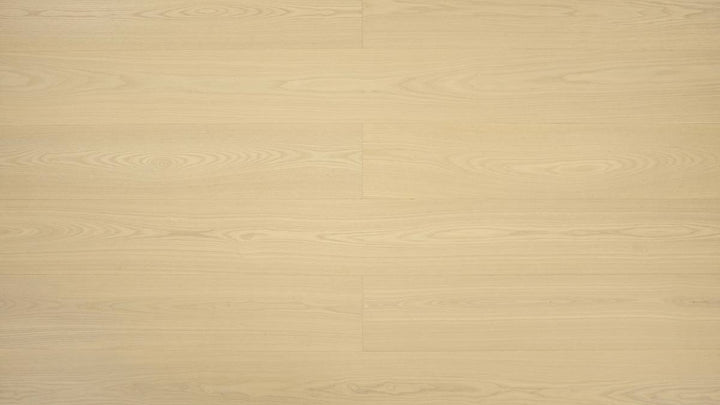 FRÊNE BLANC EUROPÉEN 6''