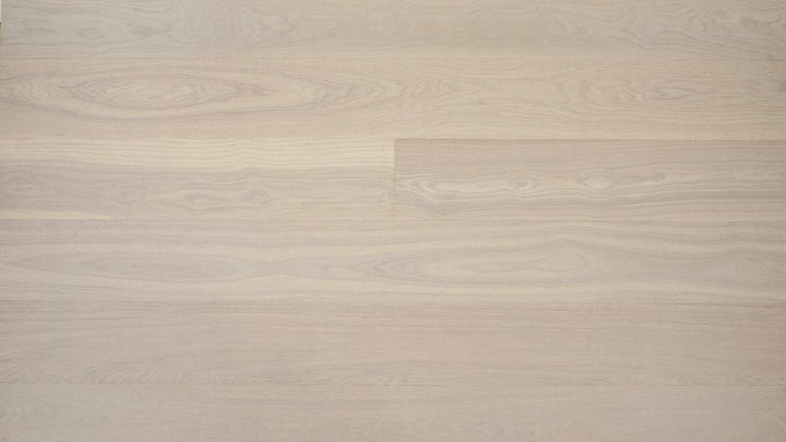 FRÊNE BLANC EUROPÉEN 6''