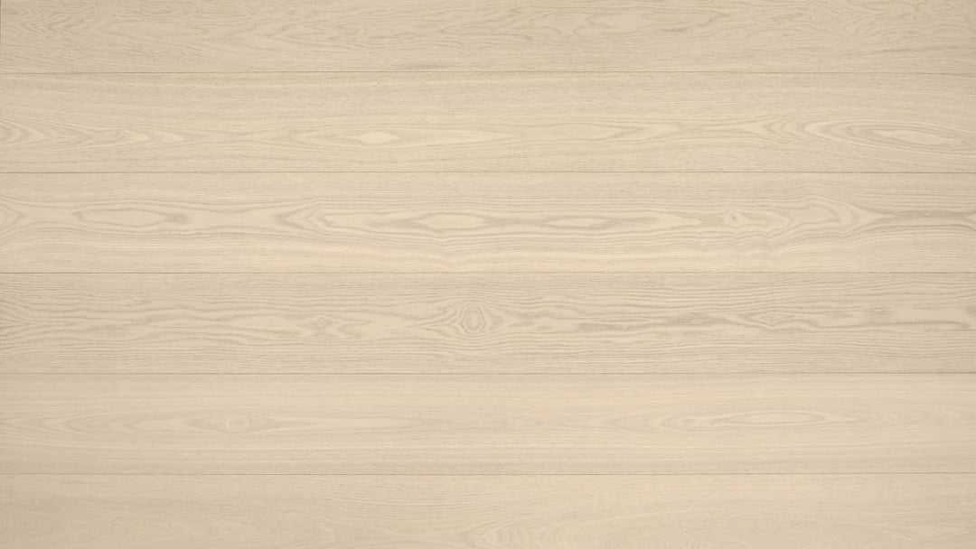 FRÊNE BLANC EUROPÉEN 6''