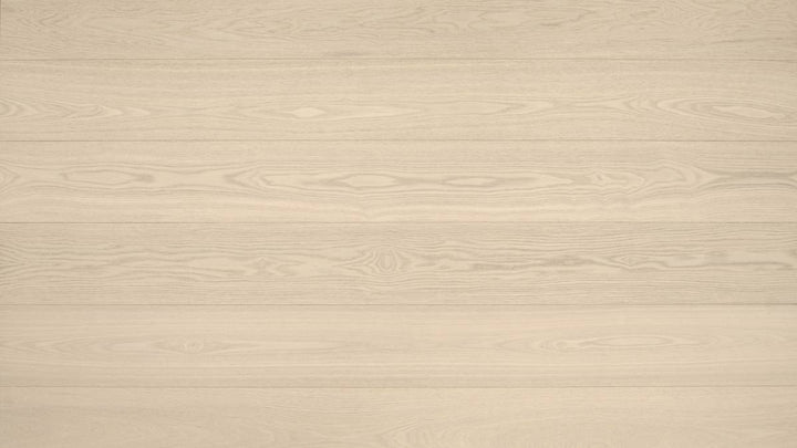FRÊNE BLANC EUROPÉEN 6''
