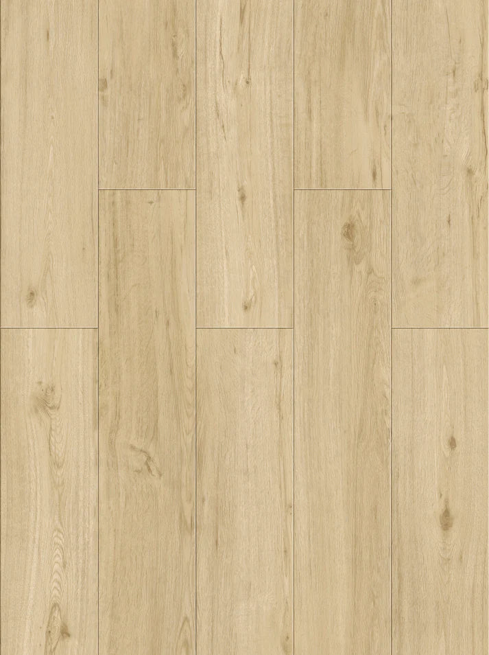 TERRA 5.5MM